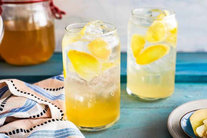 Spicy lemon ginger switchel
