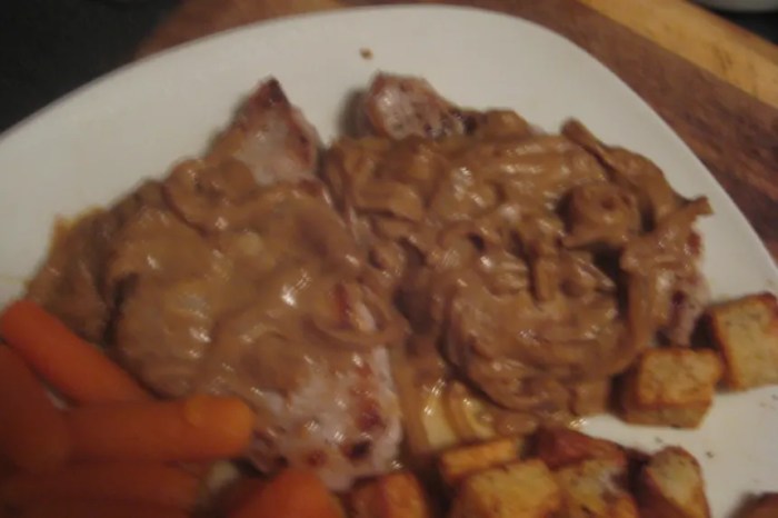 Pork chops smothered in onion gravy