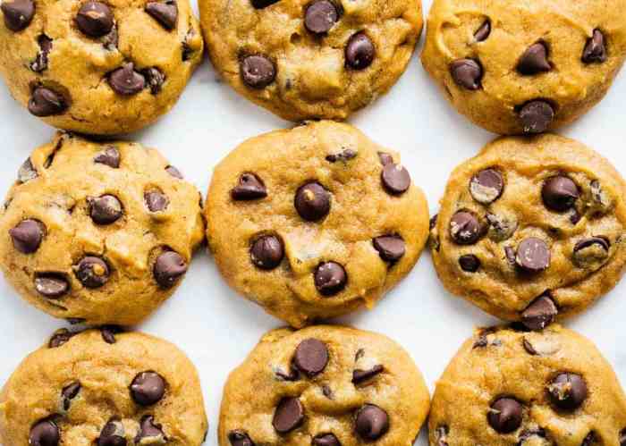 Pumpkin chocolate chip cookies i