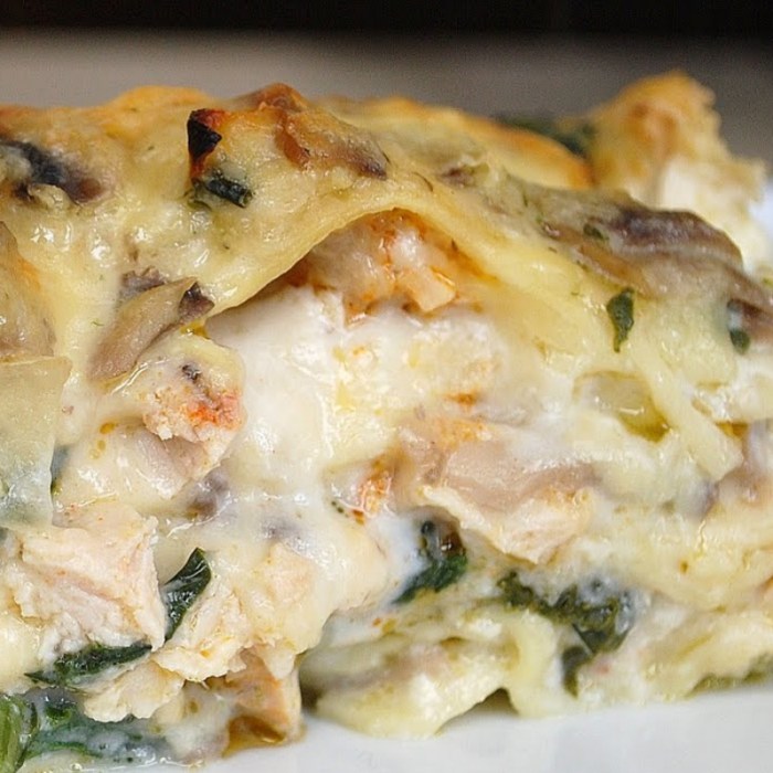 Chicken and spinach alfredo lasagna