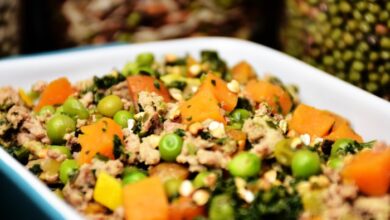 Homemade dog food with beef