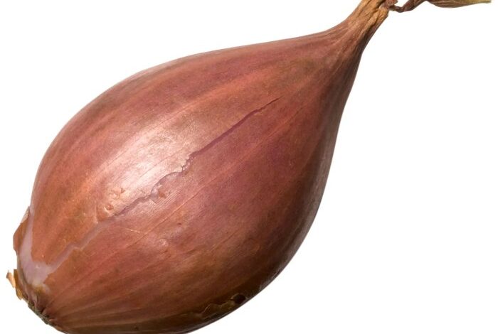 What is a shallot