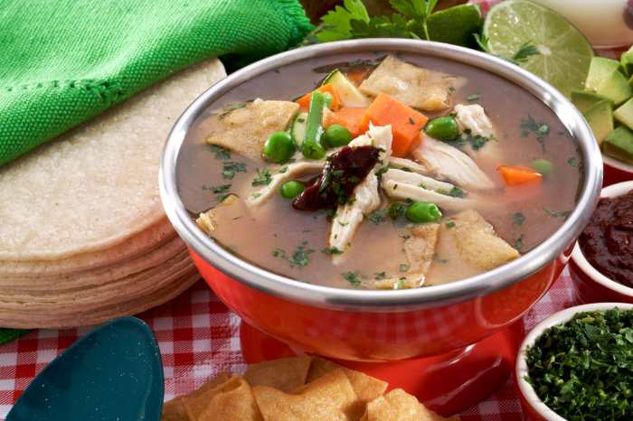 Catherines spicy chicken soup