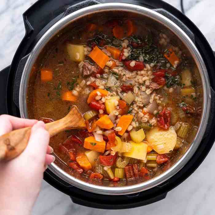 Instant pot beef and barley soup
