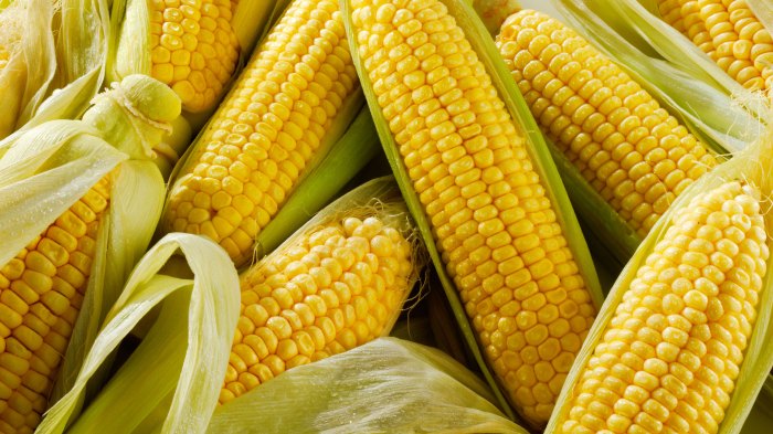 Jamies sweet and easy corn on the cob