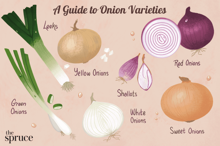 Shallot shallots onions gourmet oblong pink favorite