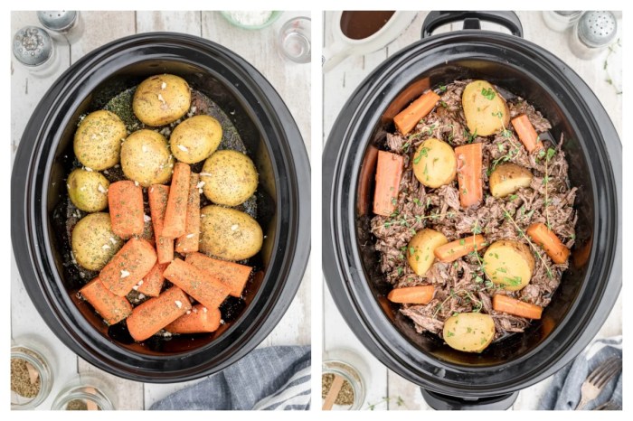 Slow cooker venison roast