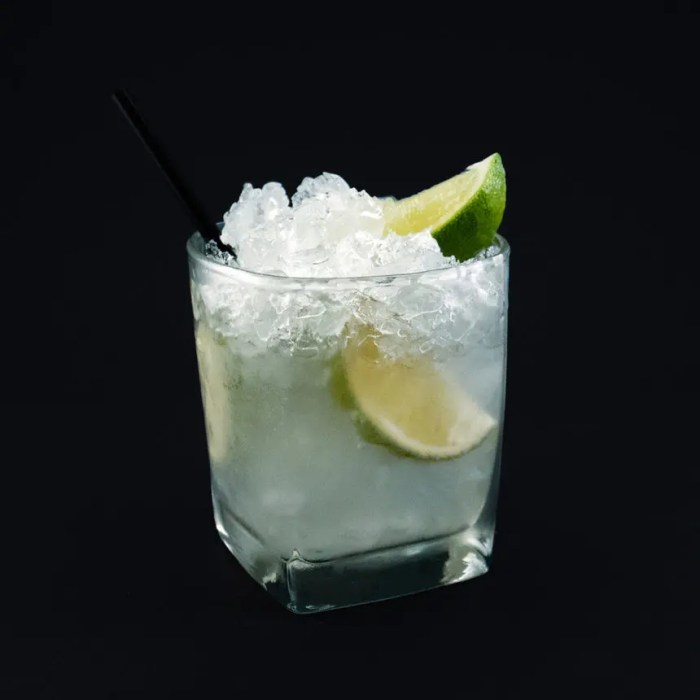 Sour key lime vodka gimlet