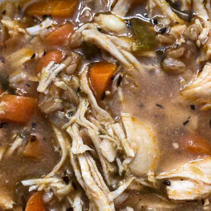 Instant pot chicken and farro soup