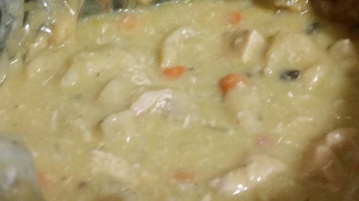 Slow cooker creamy chicken and dumplings