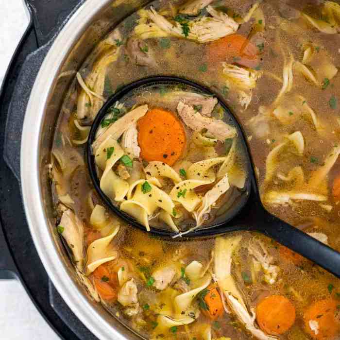 Instant pot chicken noodle soup