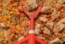 Chinese chicken fried rice ii