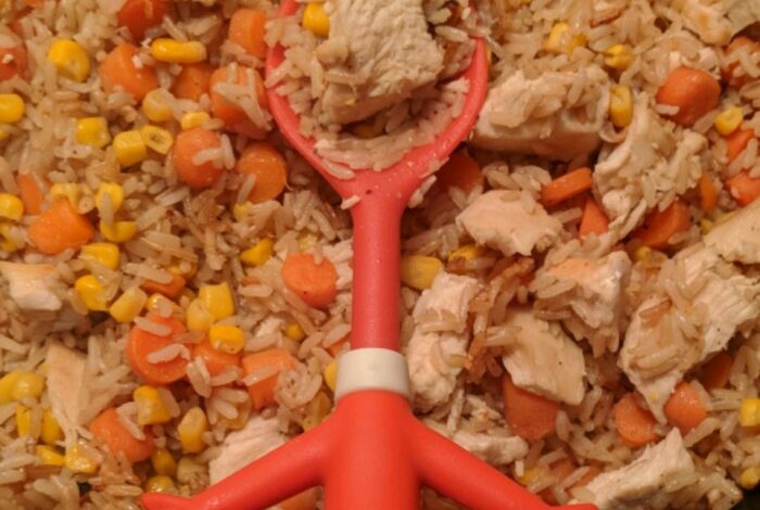 Chinese chicken fried rice ii