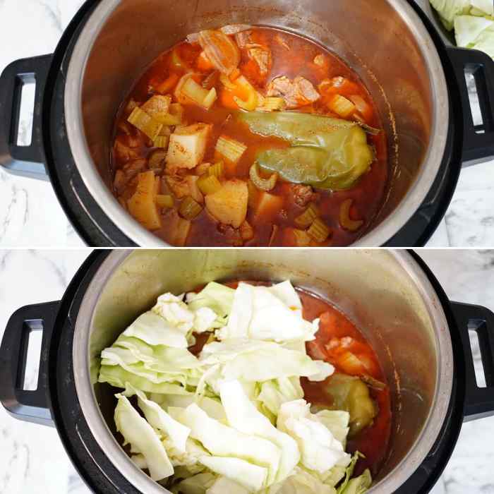 Instant pot cabbage and beef soup
