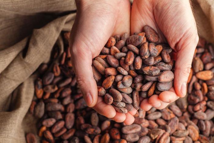 Difference between cocoa and cacao