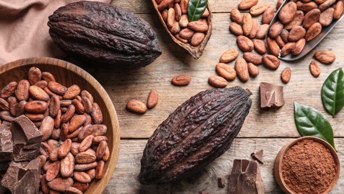 Difference between cocoa and cacao