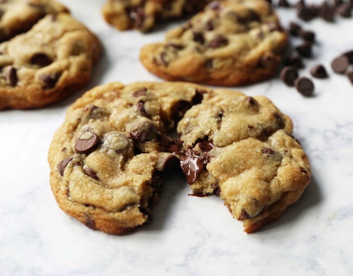 Absolutely sinful chocolate chocolate chip cookies