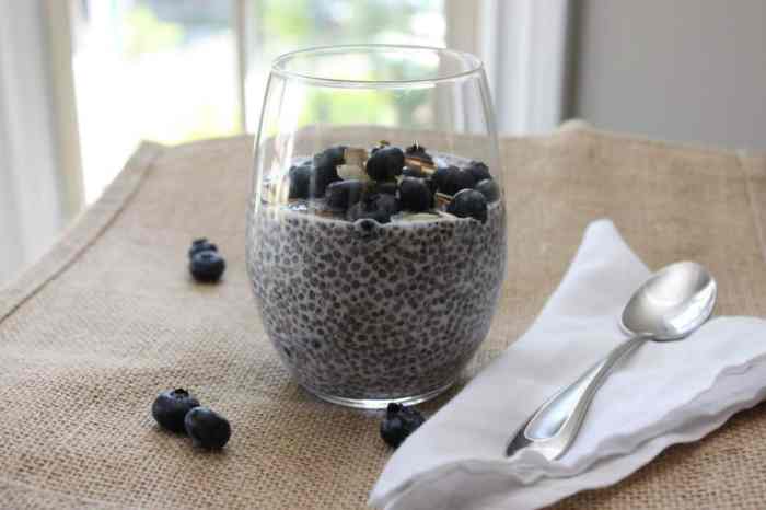 Blueberry chia pudding with almond milk
