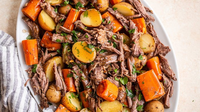 Venison pot roast and gravy