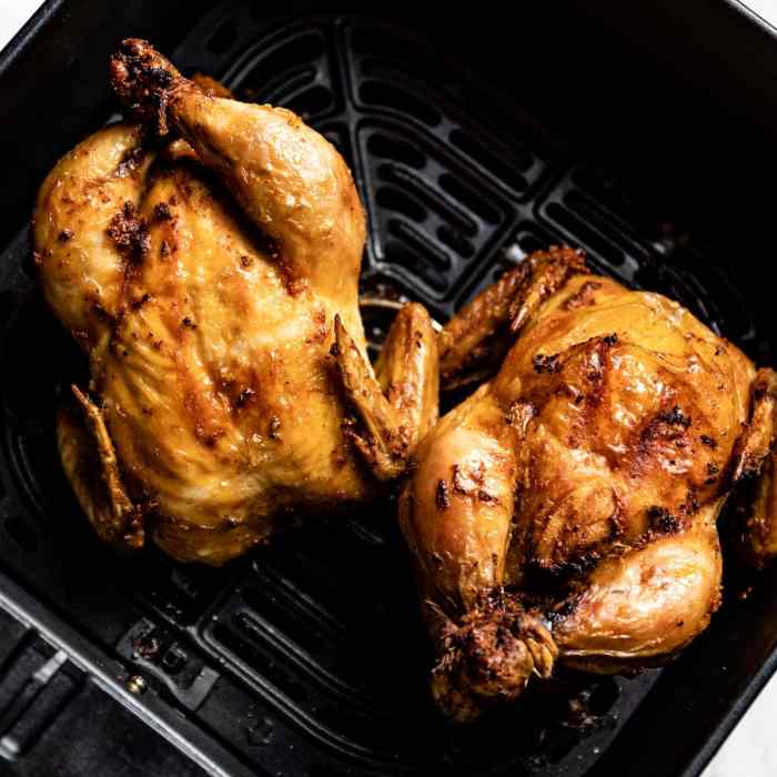 Air fryer cornish hen