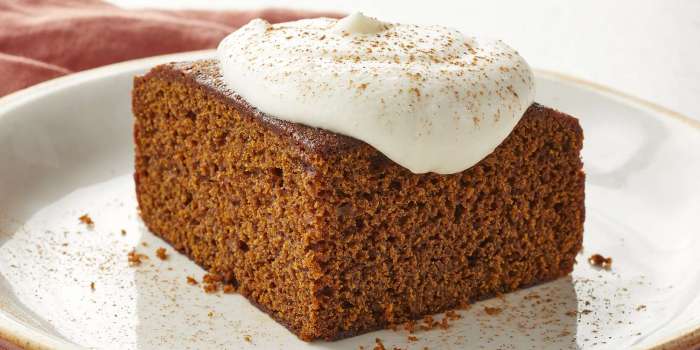 Gingerbread platingpixels Favorite old fashioned gingerbread