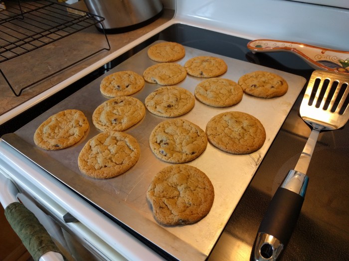 Ultimate high altitude chocolate chip cookies