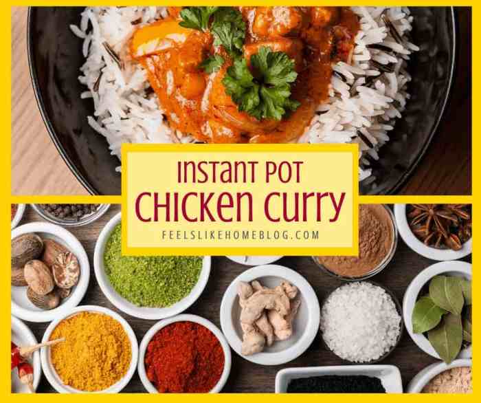 Instant pot coconut curry chicken