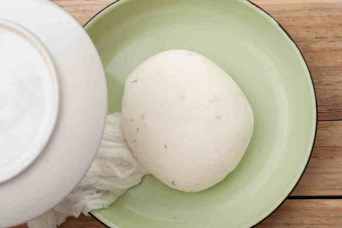 Home made farmers cheese