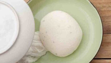 Home made farmers cheese